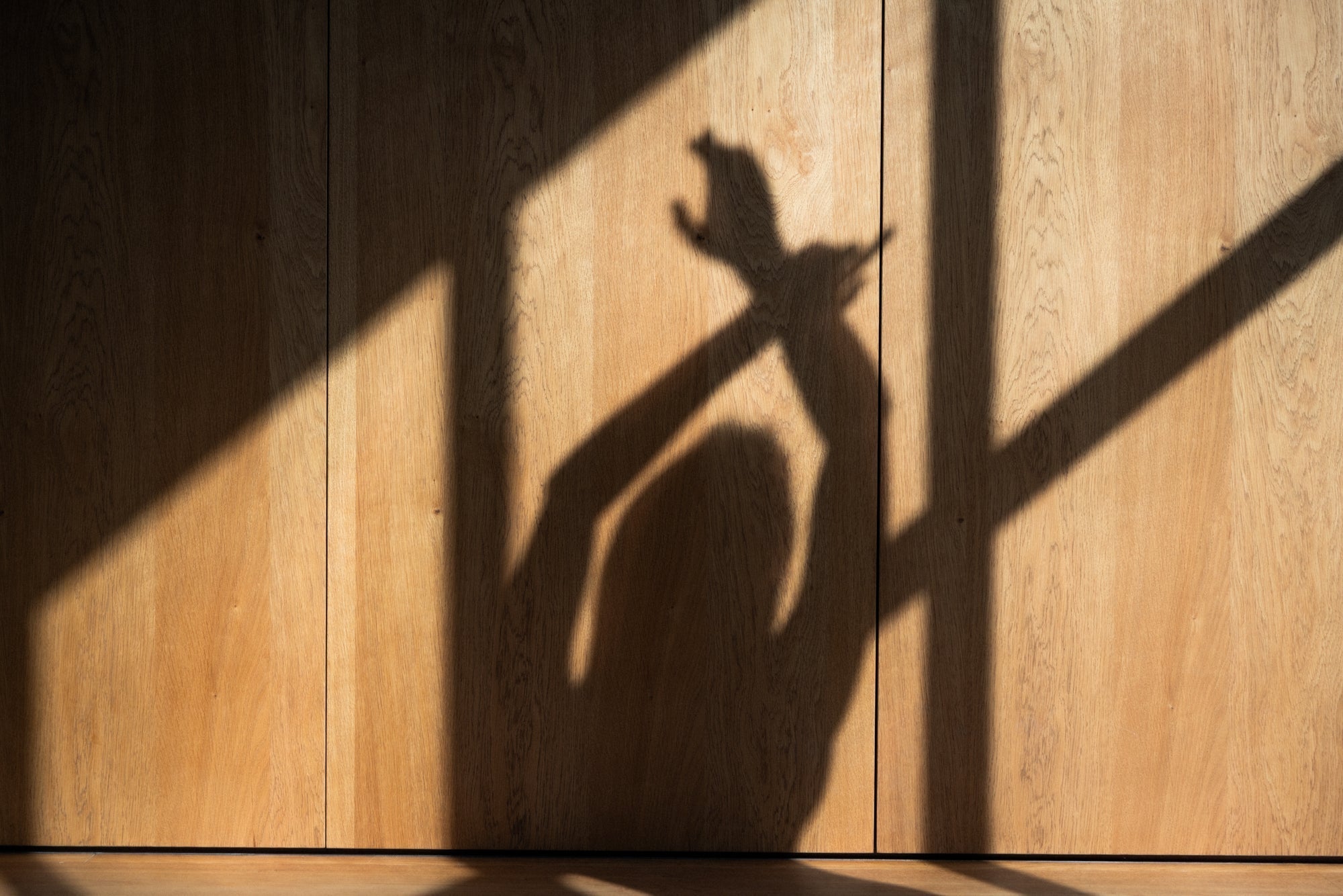 Derfor er fjern infrarød varme er bra for helsen