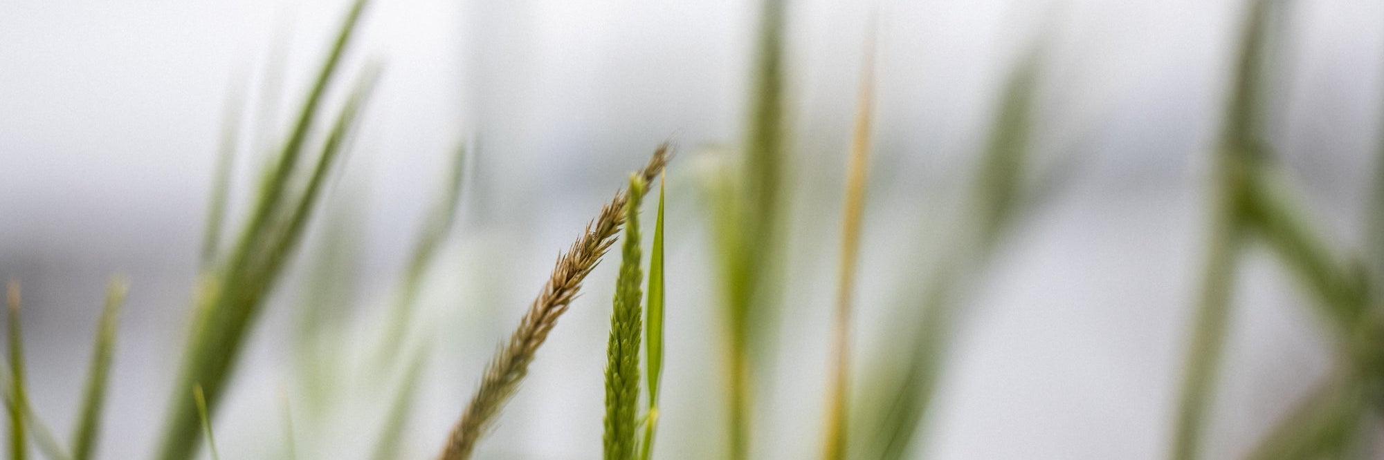 Helse er mer enn en frisk kropp - Test av saunateppe mot ME