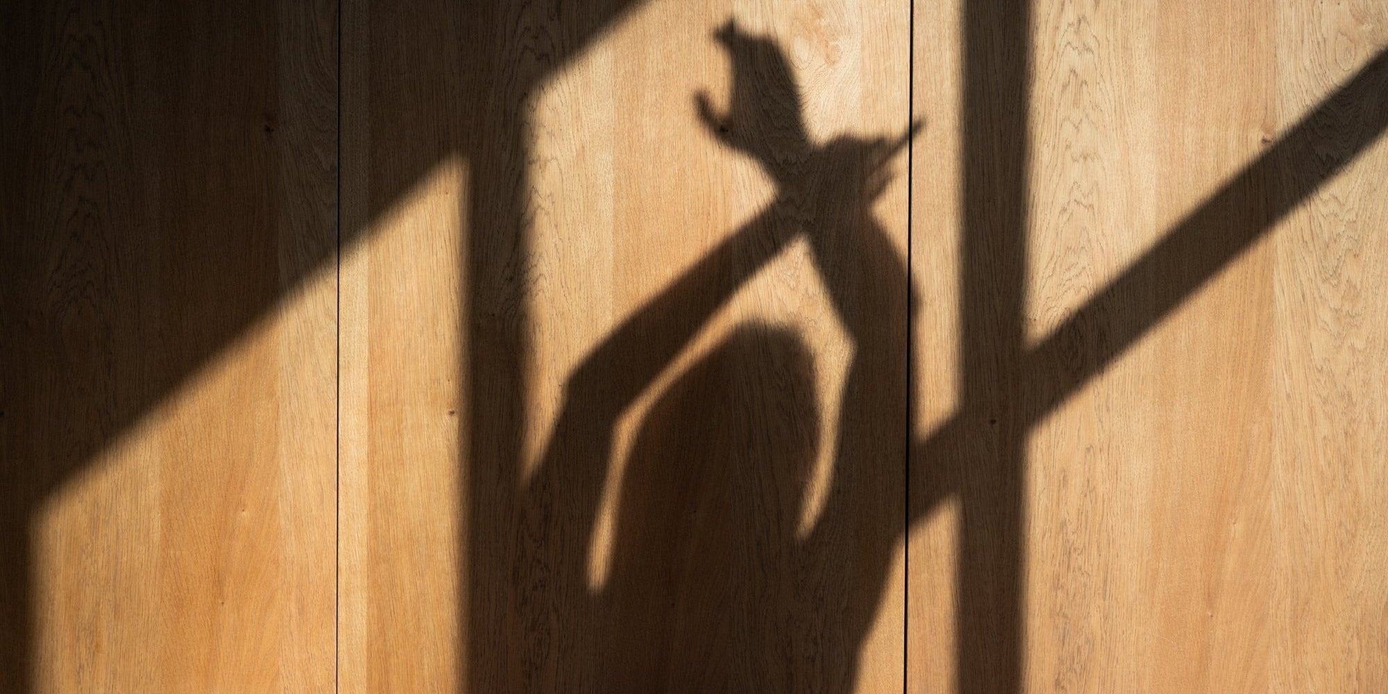 Derfor er fjern infrarød varme er bra for helsen