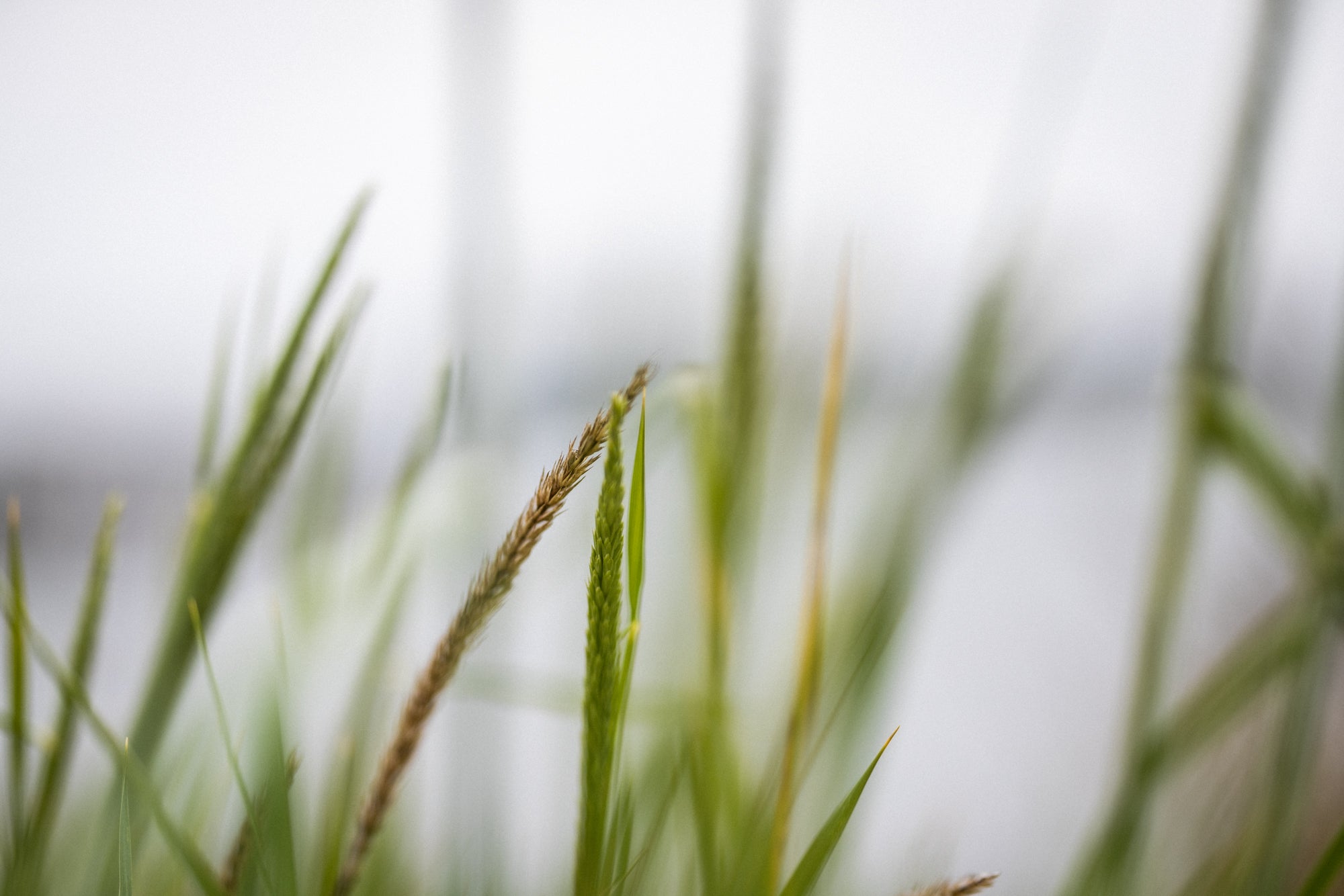 Naturlig inspirasjon, velvære i harmoni med naturens egne detaljer.